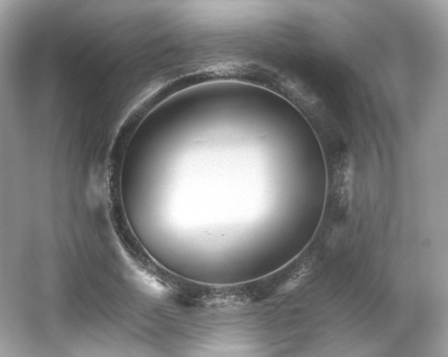 X0000066080730200603131137