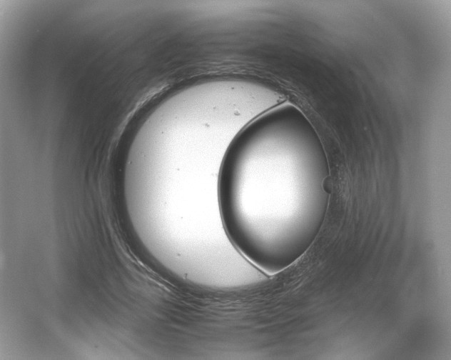 X0000066080731200603131137