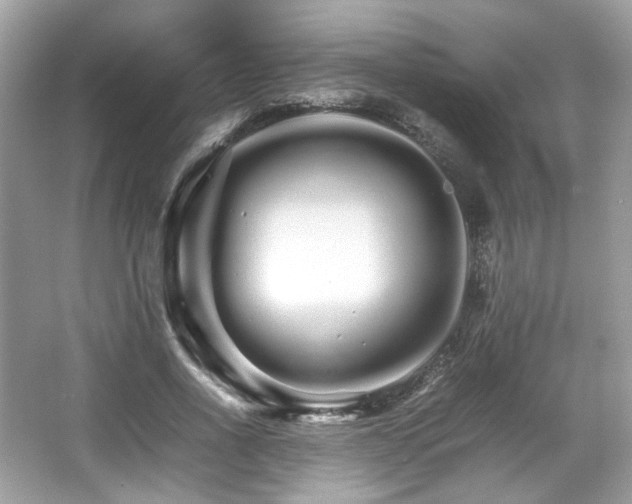 X0000066080734200603131137