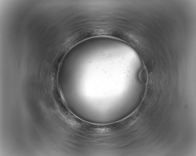 X0000066080741200603131137