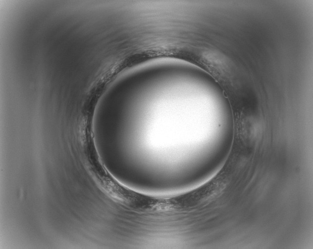 X0000066080742200603131137