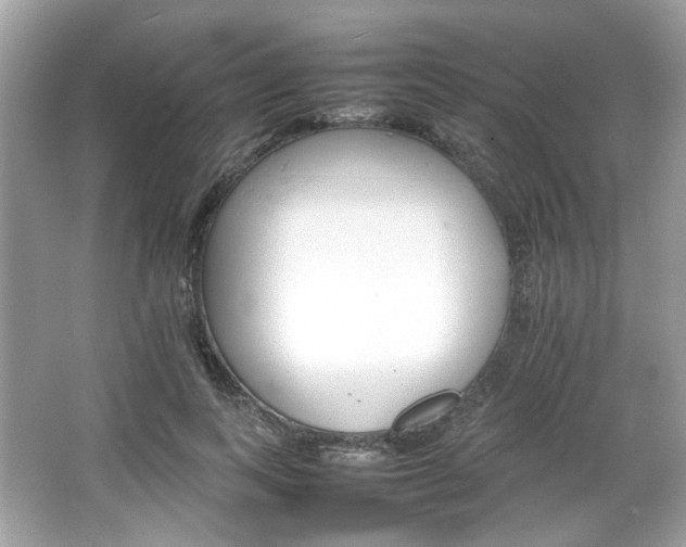 X0000066080743200603131137