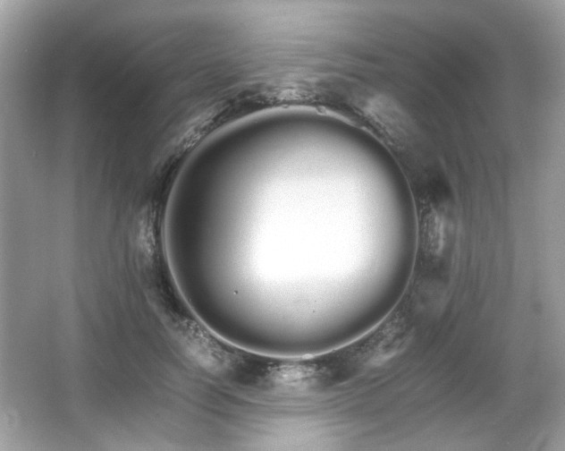 X0000066080746200603131137