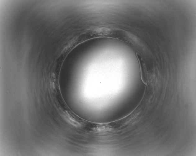 X0000066080752200603131137