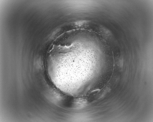 X0000066080754200603131137