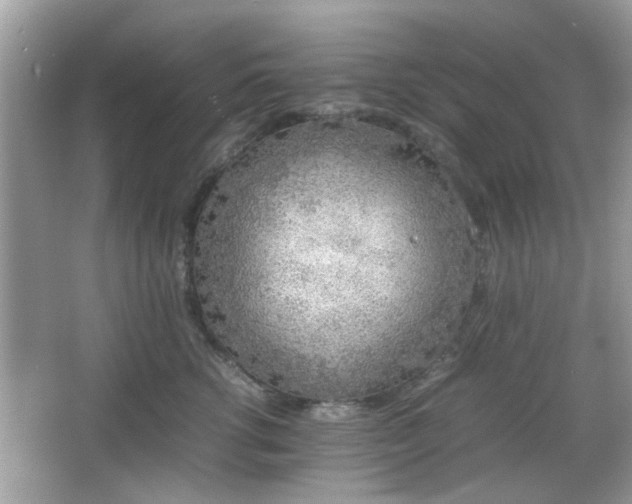 X0000066080762200603131138