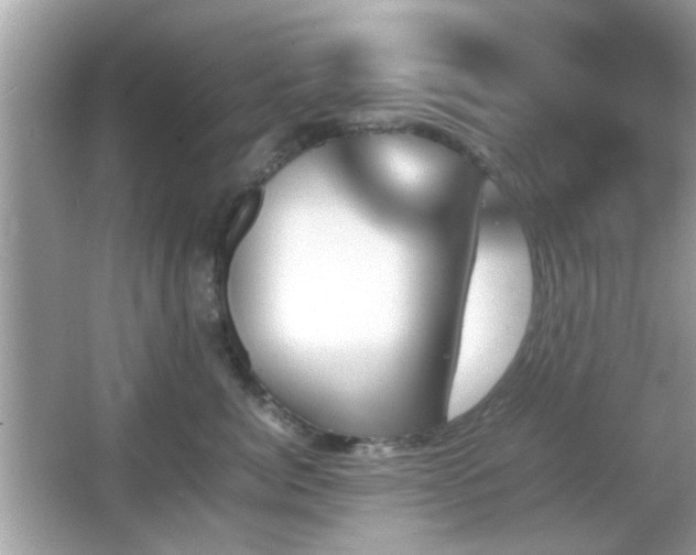 X0000066080764200603131138