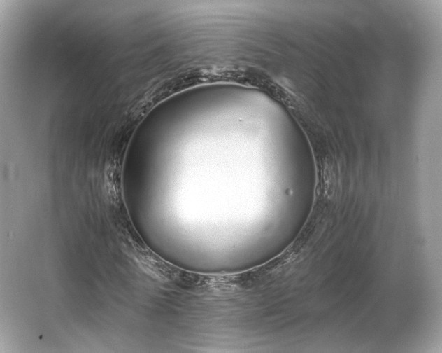 X0000066080770200603131137