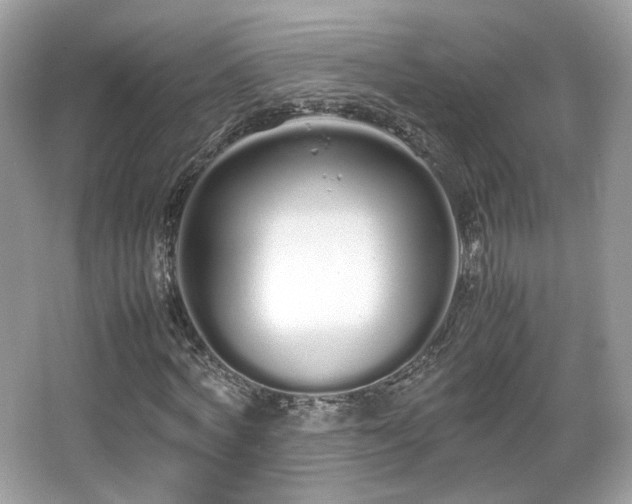 X0000066080772200603131137