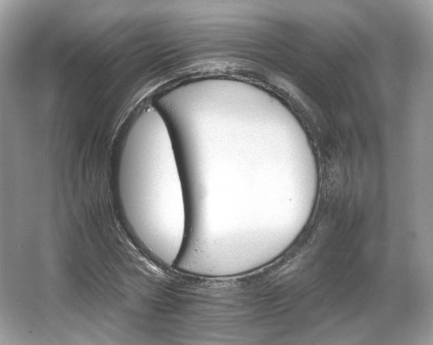 X0000066080778200603131137