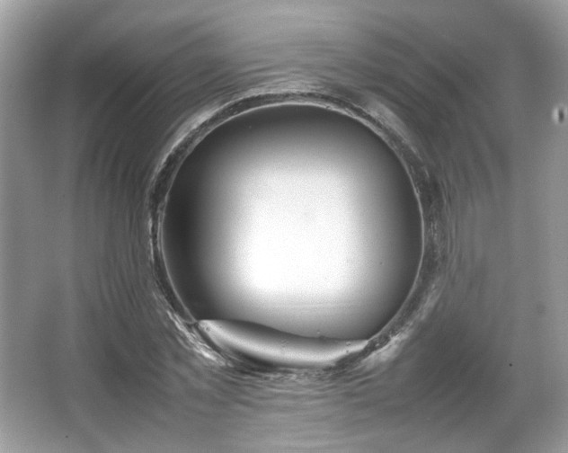 X0000066080781200603131137