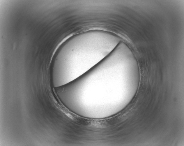 X0000066080790200603131136