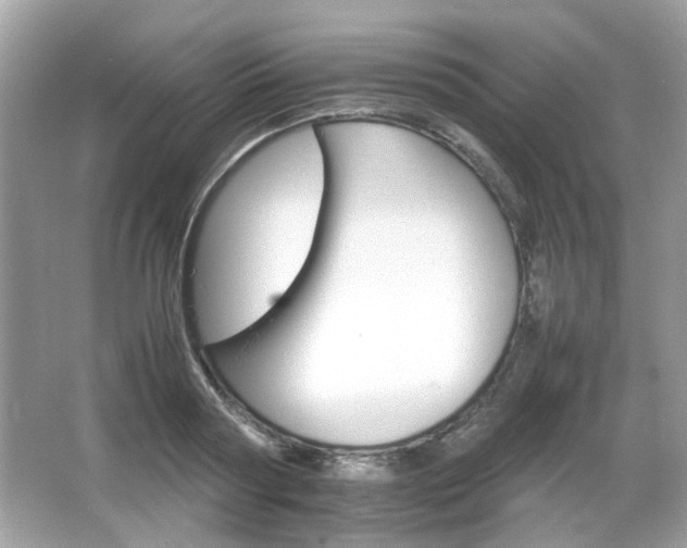 X0000066080794200603131136