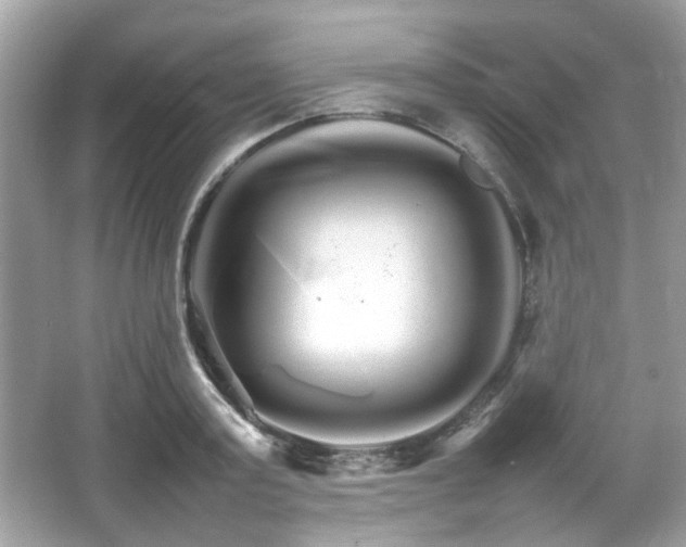 X0000066080795200603131136