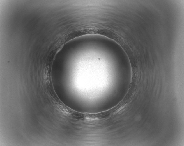 X0000066080818200603131135