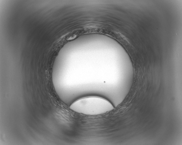X0000066080821200603131135