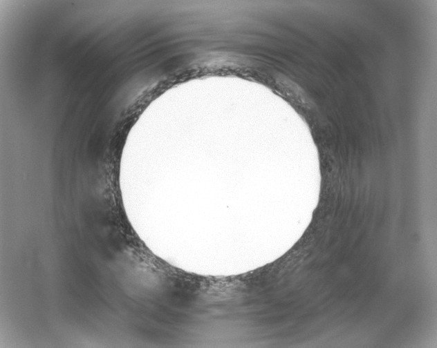 X0000066080824200603131135
