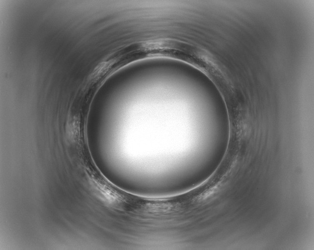 X0000066080825200603131135
