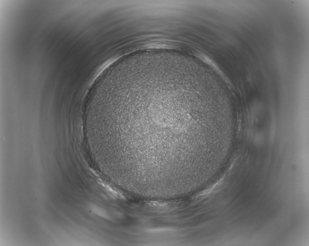 X0000066080829200603131135