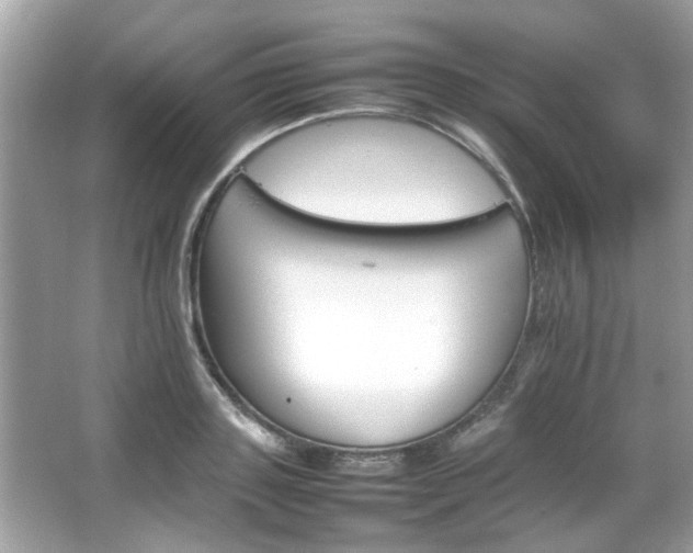 X0000066080843200603131136