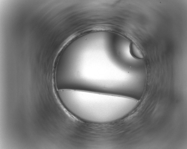X0000066080853200603131136