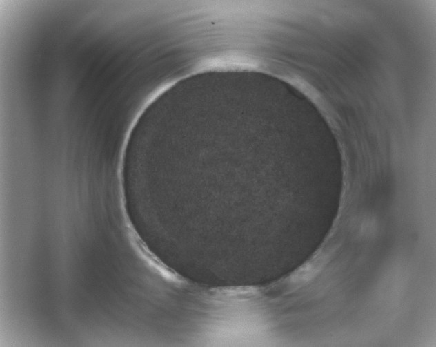 X0000066080864200603131136