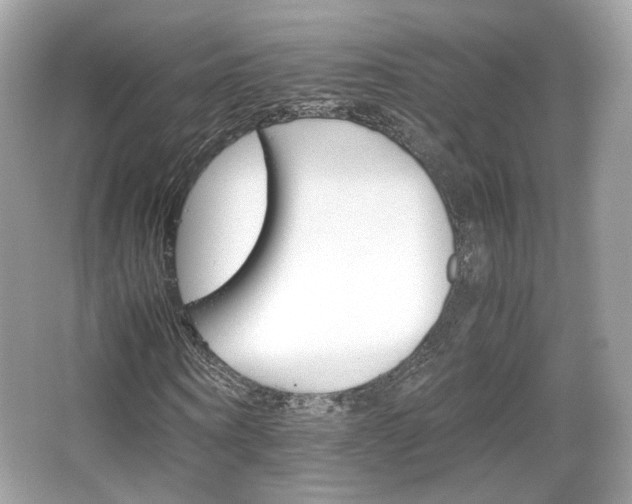 X0000066080866200603131135