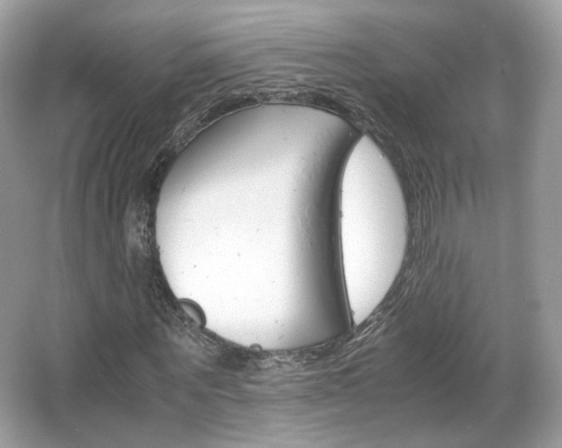 X0000066080867200603131135