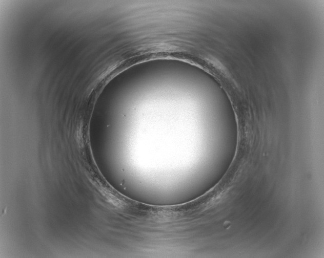 X0000066080873200603131135