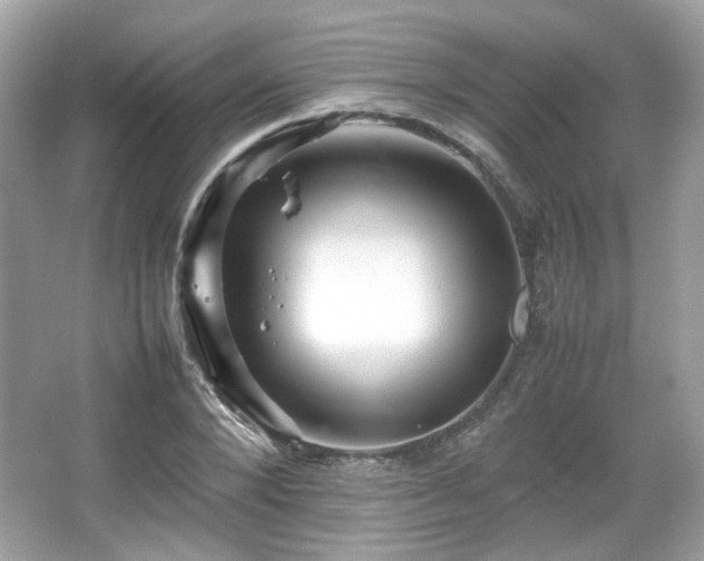 X0000066080880200603131135