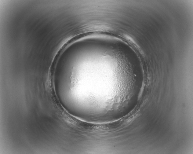 X0000066080883200603131135