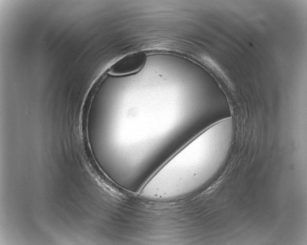X0000066080884200603131135