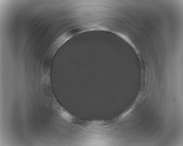 X0000066080889200603131135