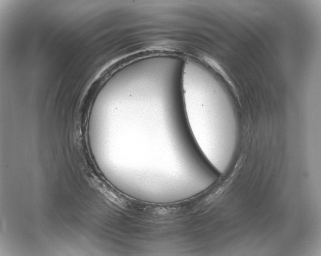 X0000066080923200603131134