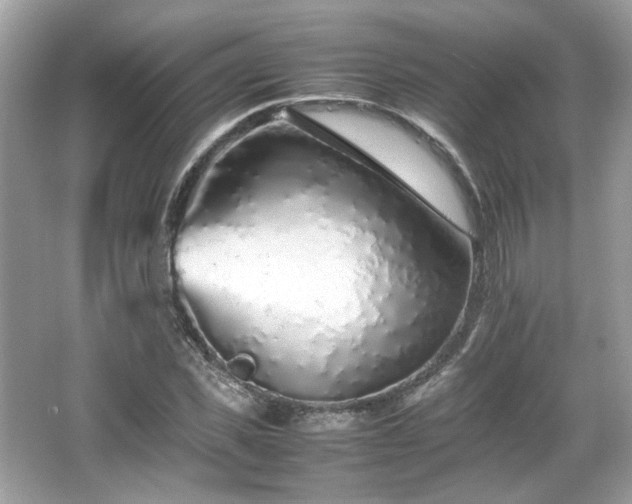 X0000066080925200603131134