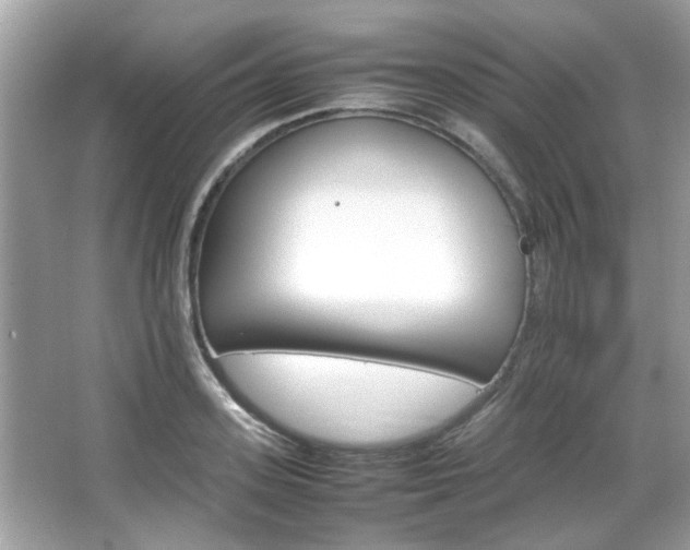 X0000066080939200603131134