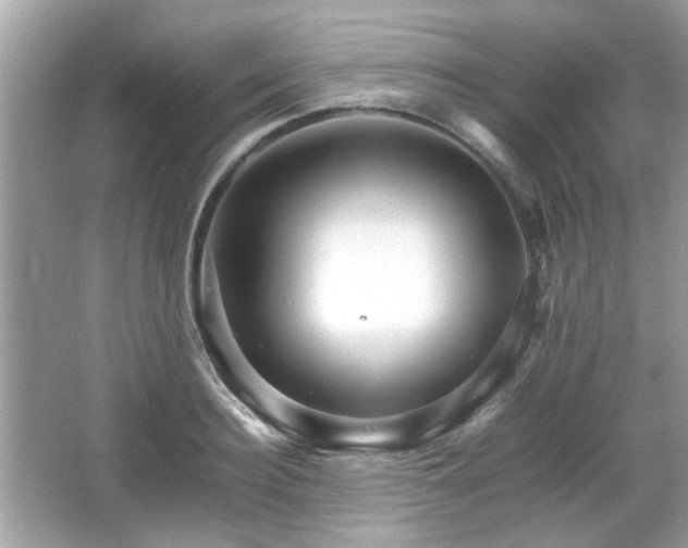 X0000066080940200603131134