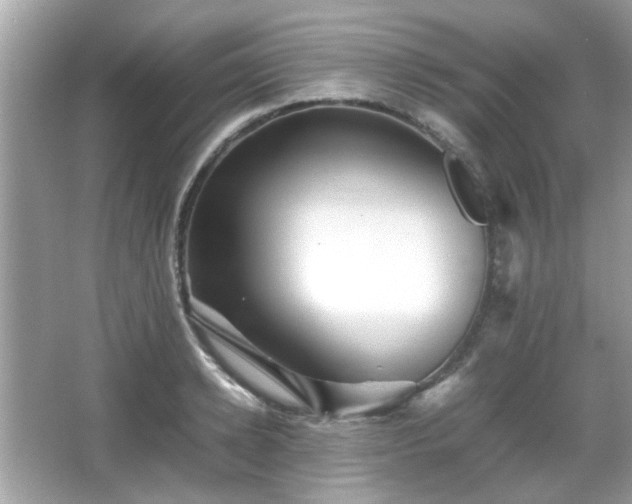 X0000066080942200603131134