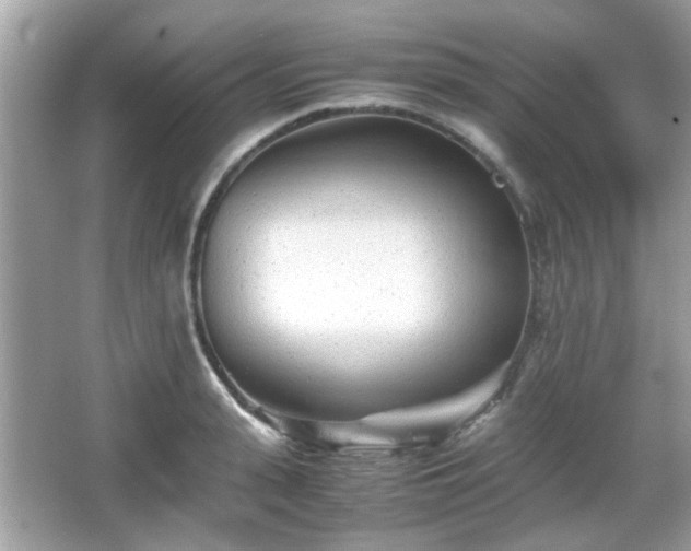X0000066080943200603131134