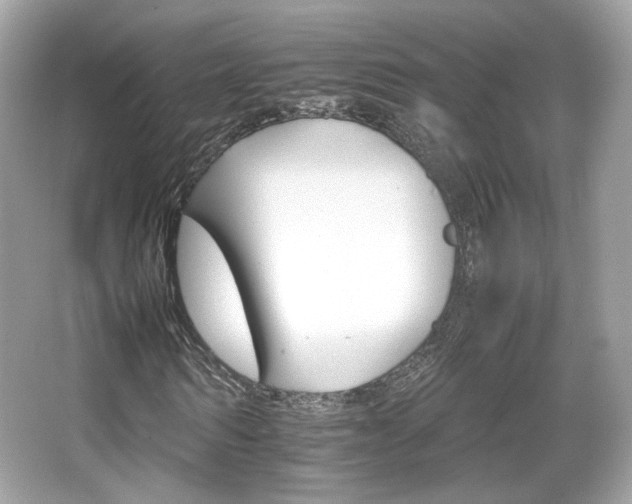 X0000066080962200603131134