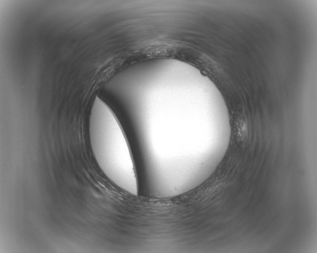 X0000066080964200603131134