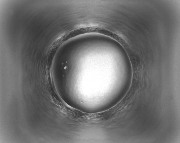 X0000066080967200603131133