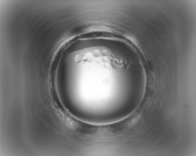 X0000066080979200603131133