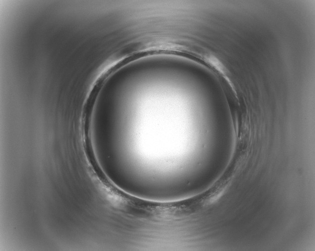X0000066080987200603131133