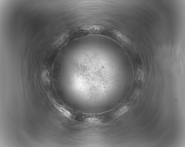 X0000066081010200603131132