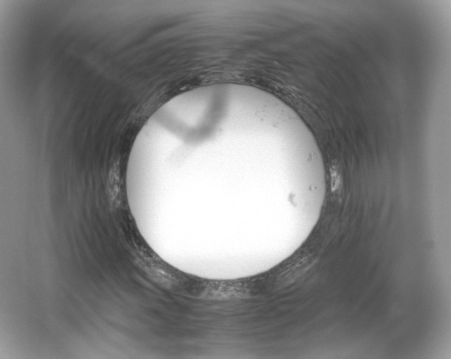 X0000066081011200603131132