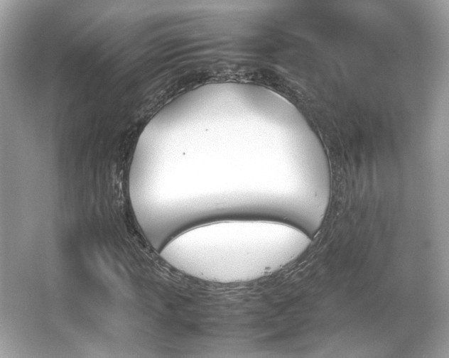 X0000066081013200603131132