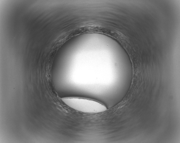 X0000066081014200603131132