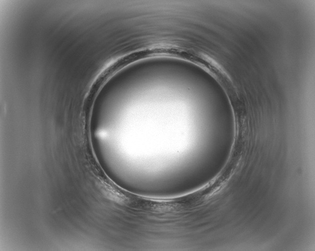 X0000066081021200603131132