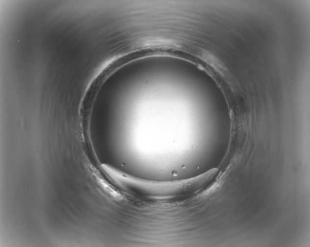 X0000066081022200603131132